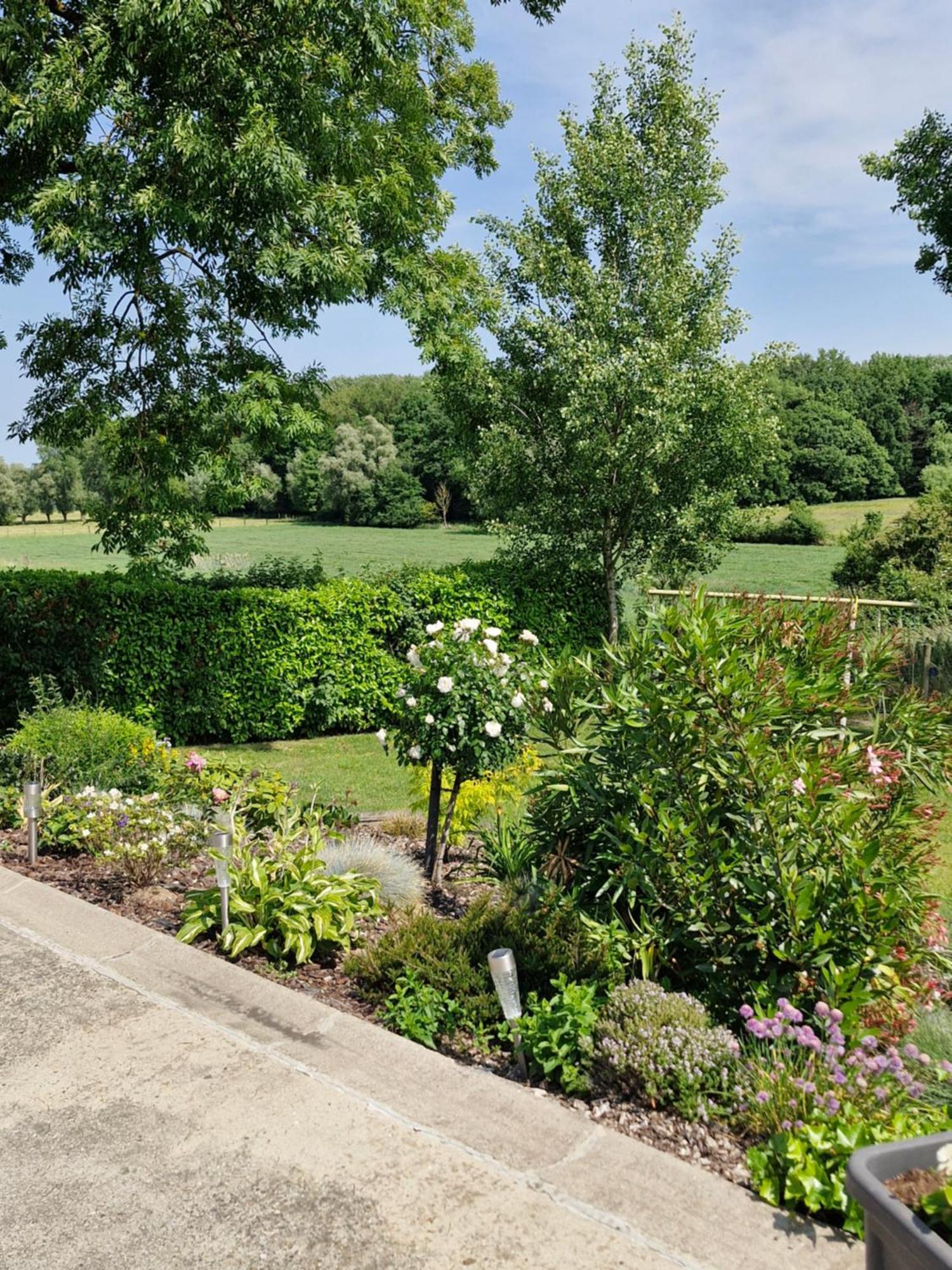 Le Gite Du Mont De La Hutte Ploegsteert Esterno foto
